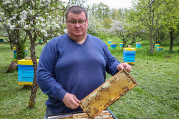 Эксперт рассказал об особом нраве пчел и перспективных направлениях развития успешного бизнеса на пасеке