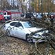 В Бресте дерево рухнуло на мужчину и автомобиль
