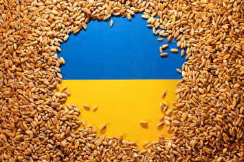 ЕК предложила восточноевропейским странам € 100 млн за продолжение импорта зерна из Украины