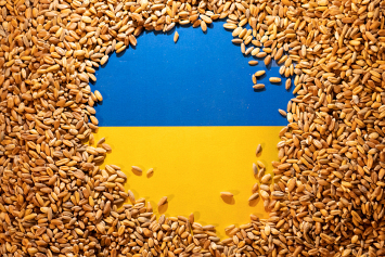 Премьер Румынии: Бухарест обсуждает введение ограничений на импорт украинской сельхозпродукции