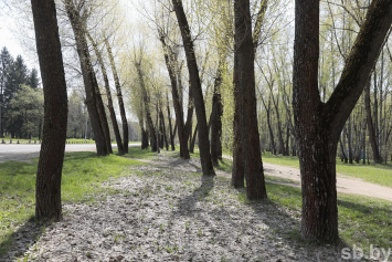 Фотозарисовка. Прогулка по Севастопольскому парку в Минске
