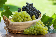 Экозащита для винограда