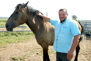 Хозяин единственного в Кричевском районе КФХ, где разводят лошадей, рассказал об особенностях бизнеса