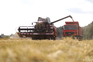Репортаж с экспериментальных полей, где Лукашенко демонстрирует земледелие завтрашнего дня