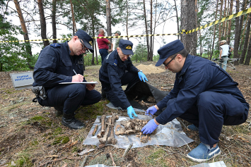В Столинском районе были найдены останки 26 человек, расстрелянных во время войны