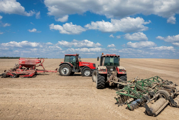 Все регионы Беларуси закончили сев озимого рапса на зерно