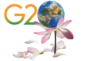 Мечты и реальность G20