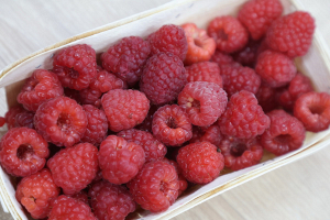 Сельхозпроизводители малины в Польше недовольны ростом количества украинских ягод 