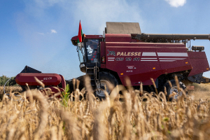 В Беларуси намолочено более 7,95 млн тонн зерна с учетом рапса