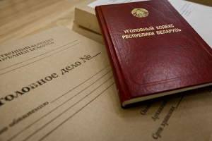 В Беларуси за 9 месяцев 2023 года следователи возбудили 43 уголовных дела за вовлечение в занятие проституцией