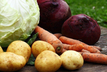 Как правильно хранить овощи и фрукты, чтобы они не высыхали не загнивали