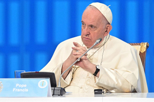 Папа Римский: конференция ООН по климату может стать поворотным моментом