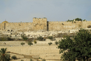 В Иерусалиме во время стрельбы погибли три человека, ранены шесть