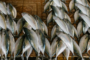 В двух шагах от ботулизма: в Беларуси пресечено обращение небезопасной сушено-вяленой рыбной продукции