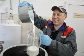 Единственная в Беларуси государственная козья ферма начала поставлять молоко на переработку