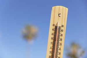 На юго-востоке Австралии более 20 школ закрыли из-за 40-градусной жары 