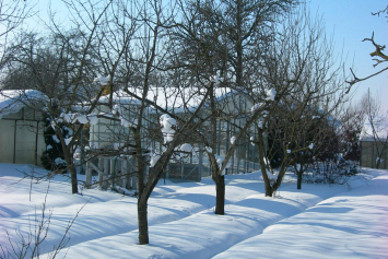 Снегозадержание — главная забота декабря для садоводов и огородников