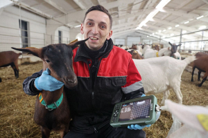 Побывали на государственной ферме, где впервые в Беларуси начали разводить племенных коз