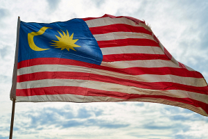 В Малайзии арестовали 31 человека по подозрению в незаконной добыче редкоземельных металлов – СМИ