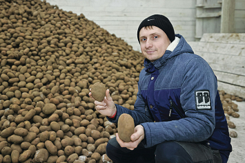 В Брестской области в стабфонд заложено более 5 тысяч тонн картофеля. Этого объема хватит до нового урожая