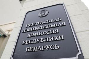 Избирательные комиссии нацелены на оказание содействия журналистам – Балдовская