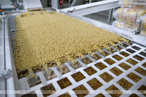 На Борисовском комбинате хлебопродуктов открыли новую линию макаронных изделий из твердых сортов пшеницы 