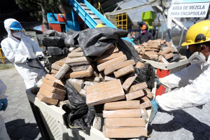 Полиция Эквадора уничтожила более 20 тонн кокаина