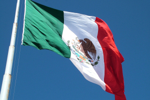 Мексика предложила помощь Чили в борьбе с лесными пожарами