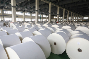 В 2023 году производство продукции Добрушской бумажной фабрики выросло на 14%