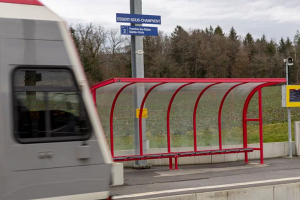 Полиция Швейцарии убила вооруженного топором преступника, который удерживал в поезде заложников