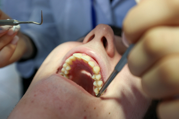 Чем живет отечественная стоматология: новинки, цены и забота государства