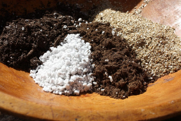 Руководителя минского центра природного земледелия «Сияние» раскрыла свой рецепт плодородного грунта