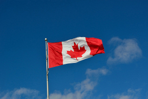 Канада планирует вложить порядка $ 200 млн на закупку систем ПВО и защиты от дронов