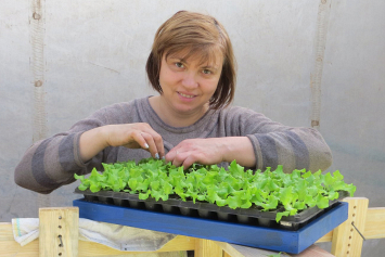 Андрей Марченко из Шосткинского района 10 месяцев в году занимается выращиванием овощей