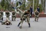 Военно-полевой квест