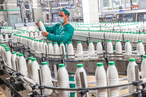 В Брестской области с начала года производство молока выросло более чем на 10 процентов