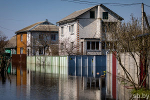 За сутки в Гомельской области талыми водами подтоплено 28 дачных домов и 7 подворий 