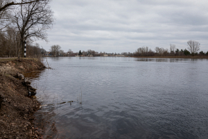 В Белгидромете сообщили, что на притоке Припяти уровень воды опустится ниже опасно высокой отметки