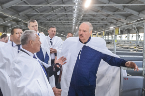 Под пристальным вниманием Лукашенко динамично развивается молочная отрасль — драйвер белорусской экономики