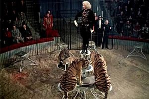 Нестареющая классика: 70 лет фильму «Укротительница тигров»