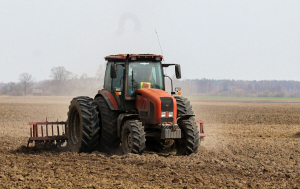 В Беларуси посеяно около 35 тысяч гектаров зерновых