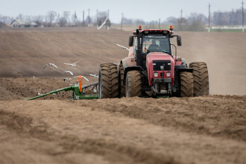 Сельхозпредприятия 16 районов Гомельской области приступили к севу яровых зерновых