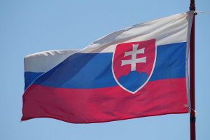 В Словакии пройдет второй тур выборов президента