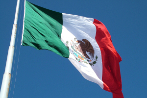 Мексиканские власти освободили еще 16 человек, похищенных преступными группировками в штате Синалоа