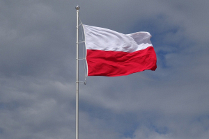 Польша ввела ограничения на вывоз в Беларусь некоторых автомобилей