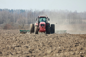 Идеальные условия. Лукашенко высказался о погоде и ситуации в сельском хозяйстве после зимы