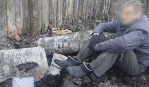В Калинковичском районе сельчанина придавило деревом – помогли спасатели 