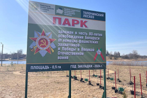 Весной по всей Беларуси лесхозы создадут парки в честь 80-летия освобождения от немецко-фашистских захватчиков
