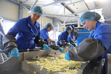 Выпуск замороженных полуфабрикатов из картофеля на Толочинском консервном заводе увеличен почти в 2,5 раза