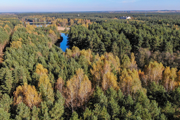 Ограничения на посещение лесов введены в 33 районах Беларуси